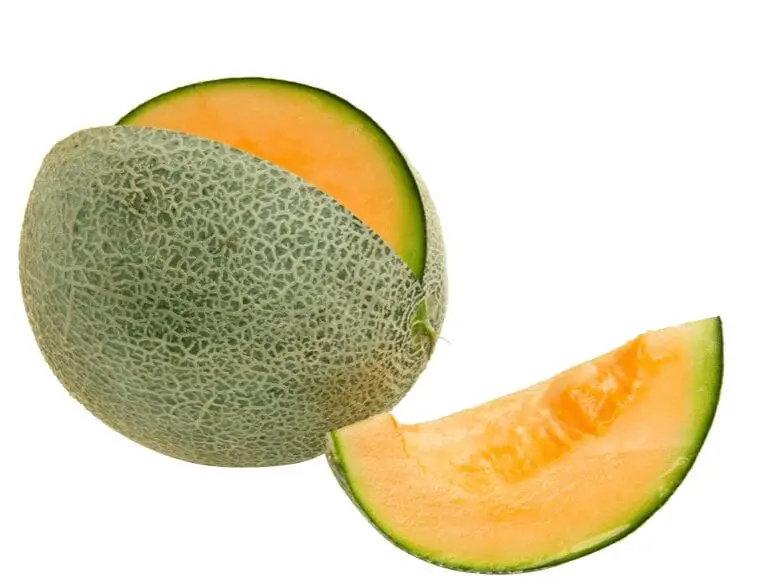 soorten meloen cantaloupe