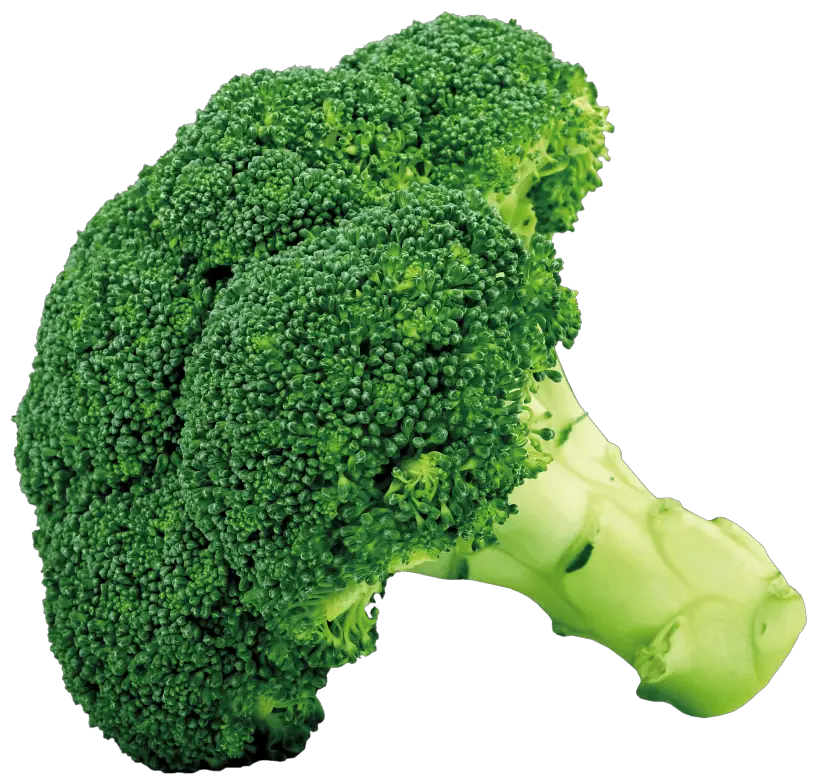 Welke Kruiden Bij Broccoli
