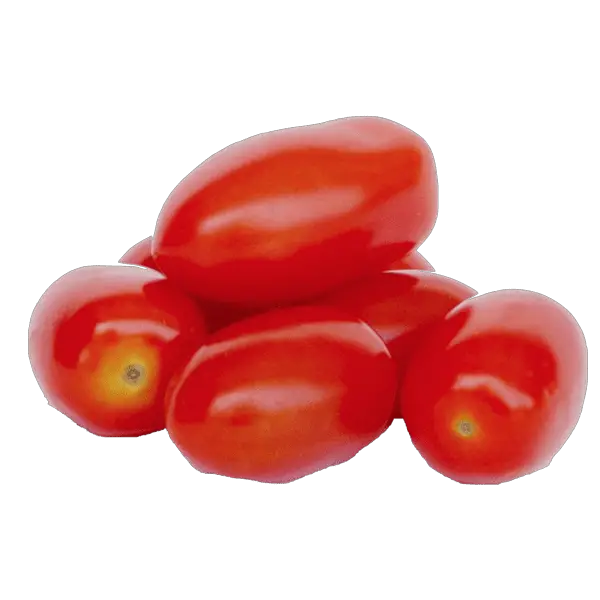 pomedori tomaat