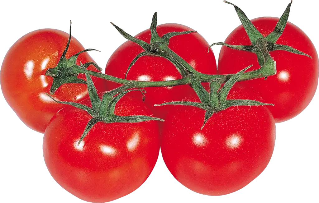 soorten tomaten
