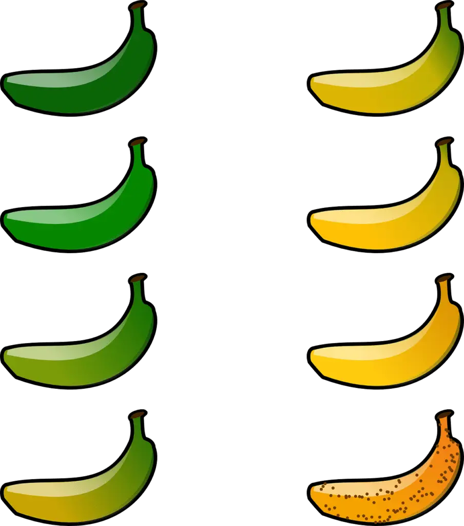 Hoe bananen bewaren