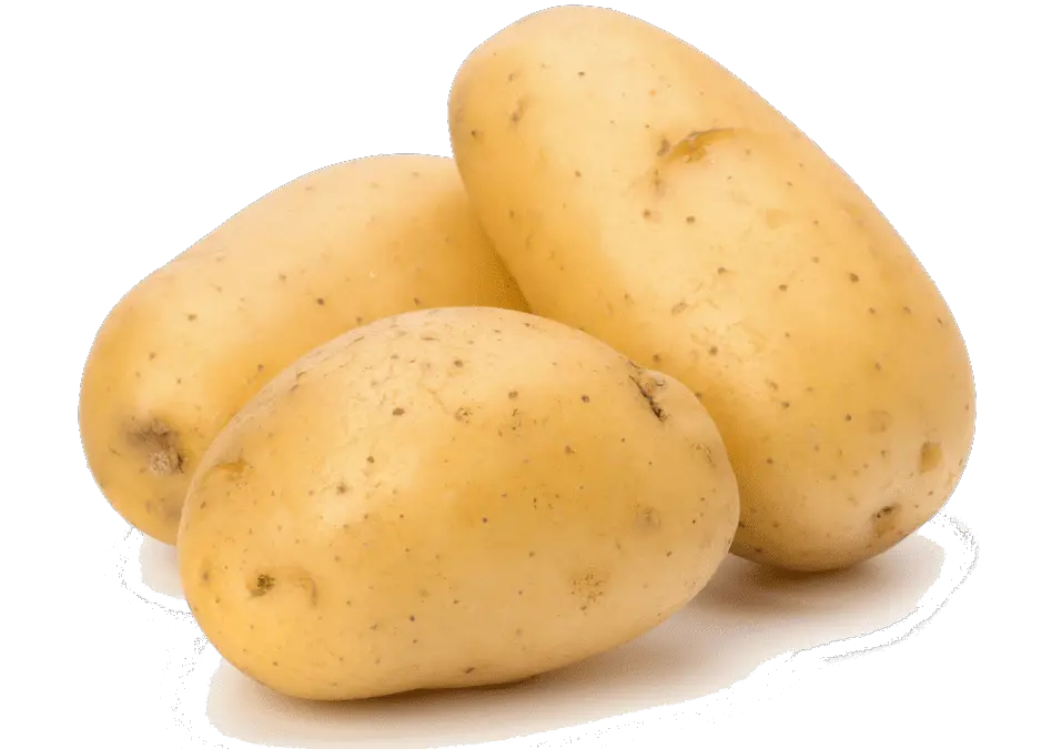 aardappelen bewaren