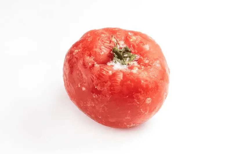 tomaten invriezen