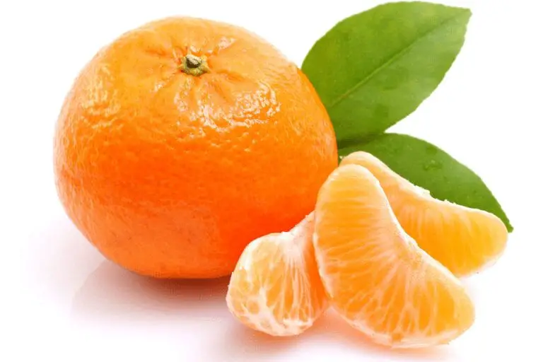 mandarijn seizoen